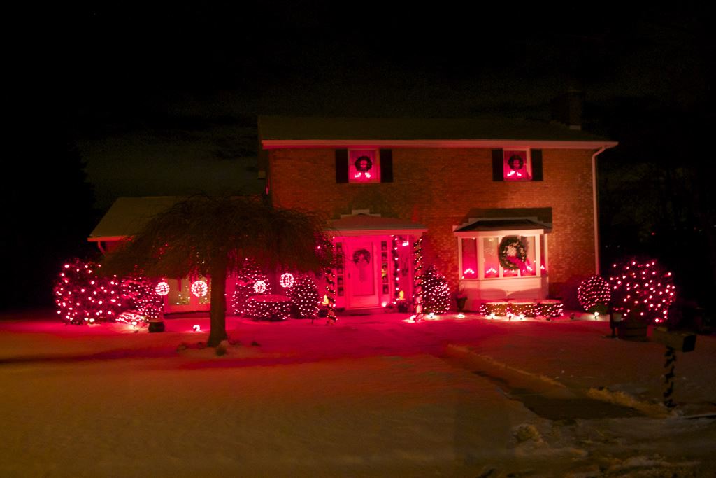 3rd Place Winner, Mamie Nixon at 2640 Princeton Avenue